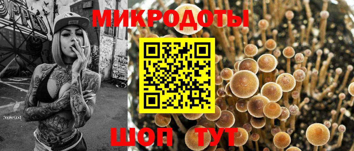 Галлюциногенные грибы MAGIC MUSHROOMS  Вход с VPN  Губкин  Псилоцибиновые грибы MAGIC MUSHROOMS 